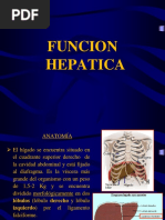 Funcion Hepatica