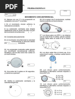 Test de Salida 01