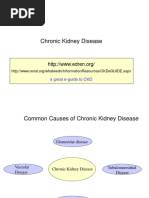 Chronic Kidney Disease: A Great E-Guide To CKD