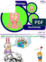 m6 Endocrine System - Lesson 1 Hormones