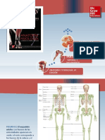 Saladin Anatomia 6a Diapositivas c08 SISTEMA OSEO