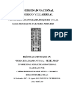 Informe Practicas Carlos Escobar Corregido