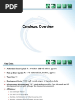 Cerulean Overview