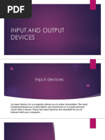 Input and Output Devices