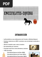 Encefalitis Equina