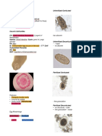 Nematodes Lab Reviewer PDF