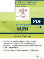 Overview of Gram - Negative Rods Enterobacteriaceae & Other Than Enterobacteriaceae