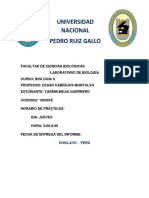 Reconocimiento y Manejo de Los Tubos Vacutainer y Obtención de Sangre Venosa