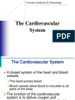 Cardiovascular 101021070055 Phpapp01