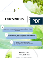 FOTOSINTESIS