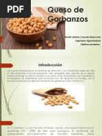 Queso de Garbanzos