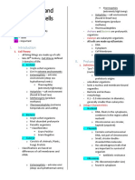 Prokaryotic and Eukaryotic Cells Reviewer