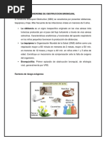 Caso Clinico Asma - PPP