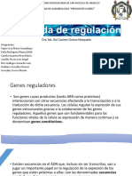 Cascada de Regulación