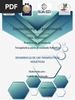 Terapeuticas Holisticas