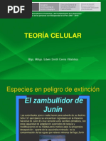 Teoria Celular