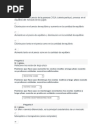 Quiz2 Semana 7 Microeconomia