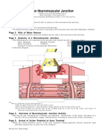 Neuromuscular Junction