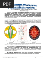 7 Hologramas Hemocionales C Grafico