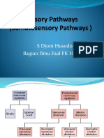 S Djoni Husodo, Dr. Mkes Bagian Ilmu Faal FK Hang Tuah