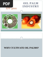 Palm Oil Industry