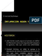 Inflamacion Aguda y Cronica