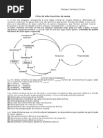 Ciclos de Vida