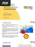 Generalidades y Fundamentos de Proyectos Offshore - Plataforma