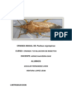 Exposicion Podisus Nigrispinus