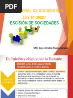 Escision de Sociedades 21-10-19