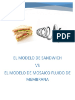 El Modelo de Sandwich Vs El Modelo Fluido de Membrana