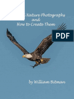 Bird Photography