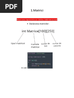 Matrici Informatica (Clasa A 9a)