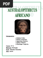 Australopithecus Africanus