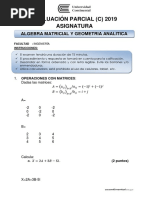 Simulacro de Examen Parcial - C