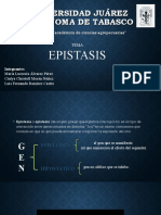 Epistasis