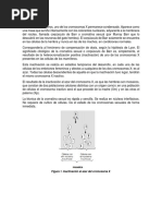 MARCO TEORICO - "Cromatina Sexual X en Células de La Mucosa Bucal de Humano"