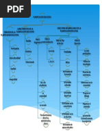 Mapa Del Basamento Jurídico Venezolano para La Planificación Educativa