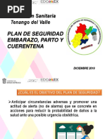 Plan de Seguridad J. Tenango Del Valle