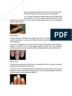 Enfermedades de Uñas