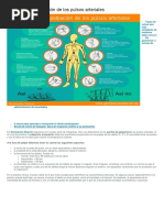 10 Puntos de Palpación de Los Pulsos Arteriales