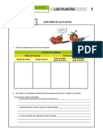 03 Las Plantas Alumnado