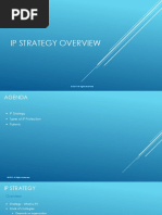 IP Strategy Overview