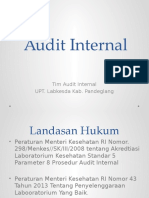 Audit Internal