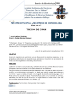 Tincion de Gram-Introduccion Desarrollo e Interpretacion de Resultados Practica 2