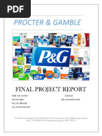 P&G Project Report