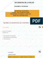 Requerimientos Nutricionales. Energía. Tasa Metabólica Basal. Necesidades Energéticas A Partir Del Factor de La Actividad Física.