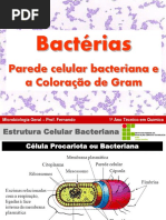 AAula 03 - Biologia de Bactérias - Parede Celular Bacteriana e A Coloração de Gram