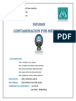 Informe Contaminacio