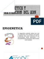 Epigenetica y Metilacion Del Adn 3